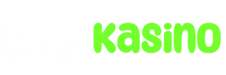 PlayKasino casino logo